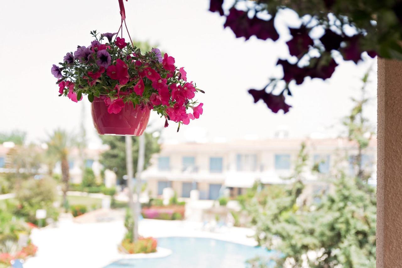 Holiday Apartment Walking Distance To The Sea Paphos Exterior foto